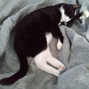 Meet your Posher, Nicki